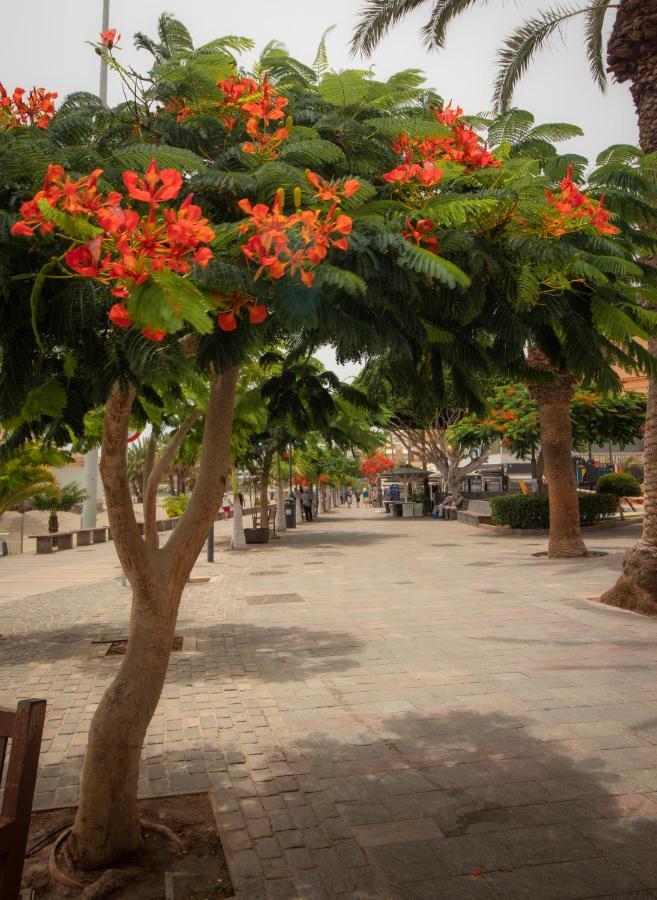El Carmen Beach Apartment ロスクリスティアーノス エクステリア 写真